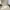 Vintage Coquette Prom dress Wanita cream photo 3