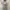 Sportswear Casual Jersey Pria white gray photo 1