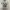 Sportswear Casual Jersey Pria white gray photo 7