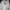 Streetwear Puffer Jacket Pria Gray