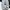 Carhartt Indie Casual Dungaree Pria white photo 3