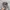 Realtree Streetwear Y2K Hat Wanita brown photo 1