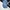 Carhartt Streetwear Skater Sweatpants & Joggers Pria navy blue photo 1