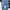Carhartt Streetwear Skater Sweatpants & Joggers Pria Navy Blue