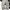 Carhartt Vintage Streetwear Dungaree Pria tan photo 2