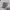Asics Sportswear Futurist Windbreaker Pria white photo 2