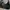 Prada Minimalist Bags & purse Wanita black photo 3
