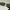 Vintage Y2K Sunglass Pria gold brown photo 7