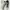 Salomon Gorpcore Futurist Sneakers Pria white tan photo 1