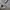 Nike Vintage Sportswear Short Pria white photo 6