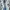 Minimalist Sneakers Pria white blue photo 5