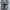 Nike Streetwear Y2K Sneakers Pria black photo 6