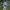 Vintage Y2K Hat Pria navy photo 1