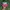 Vintage Skater Hat Pria Green Red