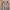 Streetwear Sportswear Tracksuit Pria green photo 6