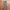 Streetwear Sportswear Tracksuit Pria green photo 4