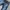 Superdry Vintage Casual Jeans Pria navy photo 1