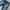 Superdry Vintage Casual Jeans Pria Navy
