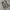 Japanese brand Vintage Streetwear Dungaree Pria gray photo 1