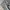 Japanese brand Vintage Streetwear Dungaree Pria gray photo 4