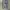Japanese brand Vintage Streetwear Dungaree Pria gray photo 3