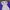 Nike Vintage Sportswear Windbreaker Pria purple white photo 4