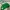 Minimalist Casual Bags & Purse Wanita Green