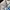 Nike Luxury Casual Windbreaker Pria multicolor photo 6