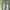 OOTJ Streetwear Y2K Jeans Pria tan blue photo 5