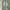 OOTJ Streetwear Y2K Jeans Pria tan blue photo 3