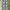 OOTJ Streetwear Y2K Jeans Pria tan blue photo 6