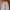 Streetwear Gorpcore Tracksuit Pria white photo 5