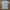 Chinatown Market Vintage Streetwear T-shirt Pria Cream