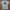 The North Face Streetwear Casual T-shirt Pria Cream