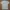 The North Face Streetwear Casual T-shirt Pria cream photo 7