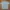 Patagonia Streetwear Y2K T-shirt Pria cream photo 4