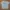 Patagonia Streetwear Y2K T-shirt Pria cream photo 1