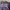 Streetwear Varsity jacket Pria purple photo 8