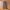 Streetwear Gorpcore Tracksuit Pria green photo 4