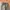 Streetwear Gorpcore Tracksuit Pria green photo 7