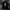 Outerwear Kids black photo 1