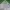 Polo Ralph Lauren Streetwear Casual Casual pants Pria green photo 2