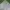Polo Ralph Lauren Streetwear Casual Casual Pants Pria Green