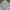Polo Ralph Lauren Streetwear Casual Casual pants Pria green photo 4