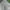 Polo Ralph Lauren Streetwear Casual Casual pants Pria green photo 1