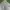 Polo Ralph Lauren Streetwear Casual Casual Pants Pria Green