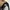 Playboy Luxury Casual Dress shoe Pria black photo 7