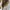 New Balance Streetwear Sportswear Sneakers Wanita white brown photo 5