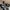 Converse Casual Sneakers Pria white black photo 4
