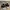 Converse Casual Sneakers Pria white black photo 2
